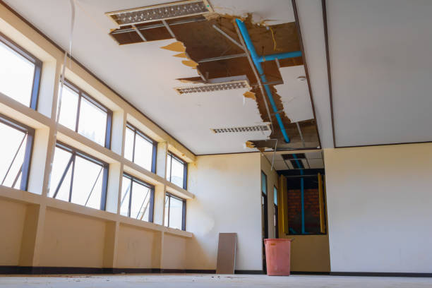 Best Flood damage cleanup  in Cache, OK
