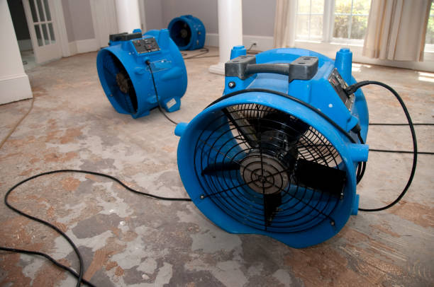 Best Sewage cleanup and water damage restoration  in Cache, OK